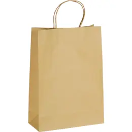 Ecological Digital Print Maxi Paper Gift Bag 150gsm Unbranded